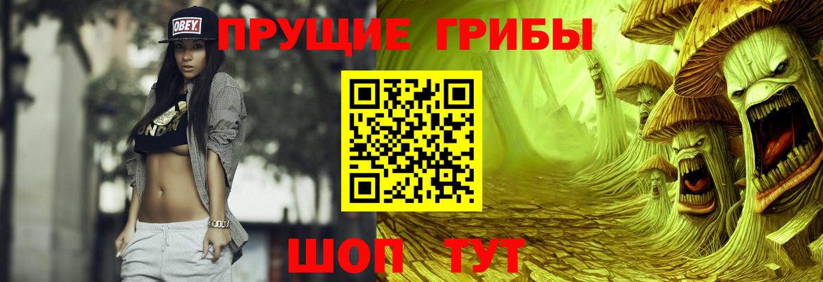 Псилоцибиновые грибы прущие грибы Отрадный