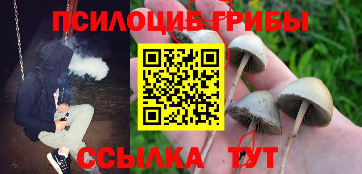 Отрадный  Галлюциногенные грибы прущие грибы  Вход с VPN  Галлюциногенные грибы мицелий 
